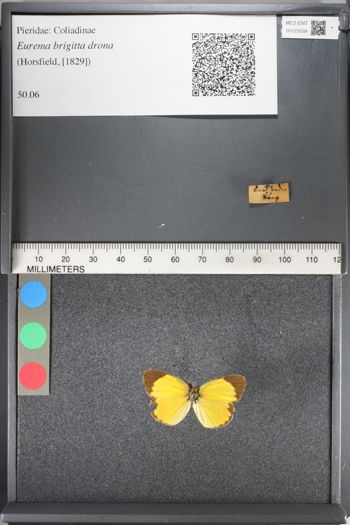 Media type: image;   Entomology 123558